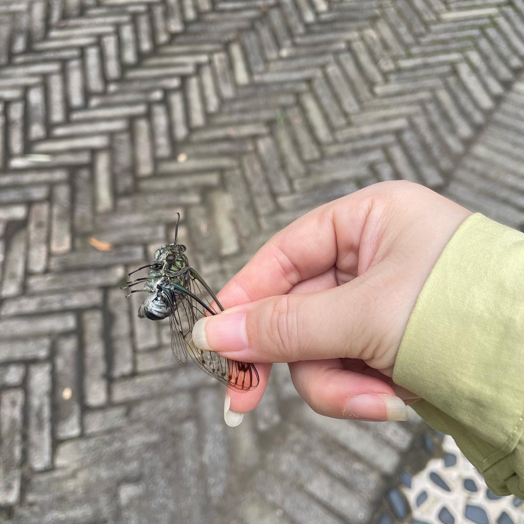 乖，摸摸头