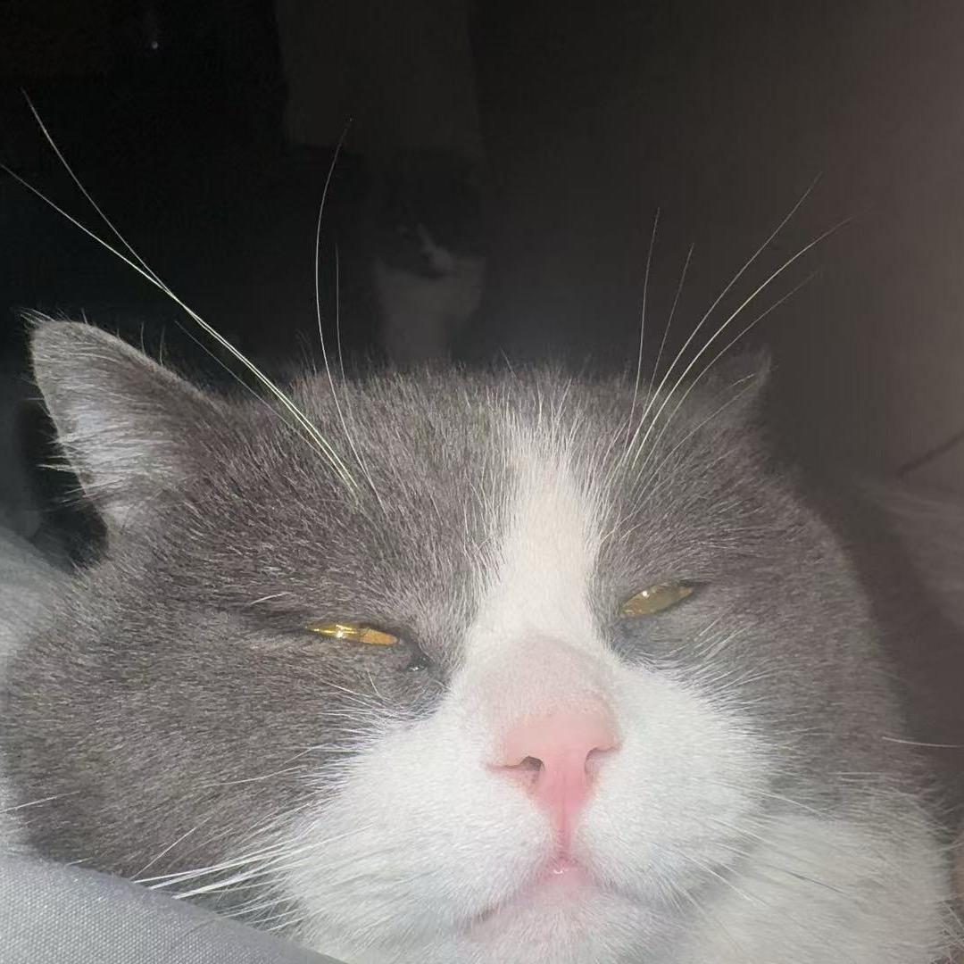 旺仔仔（站街赚钱给丸子买裙子）