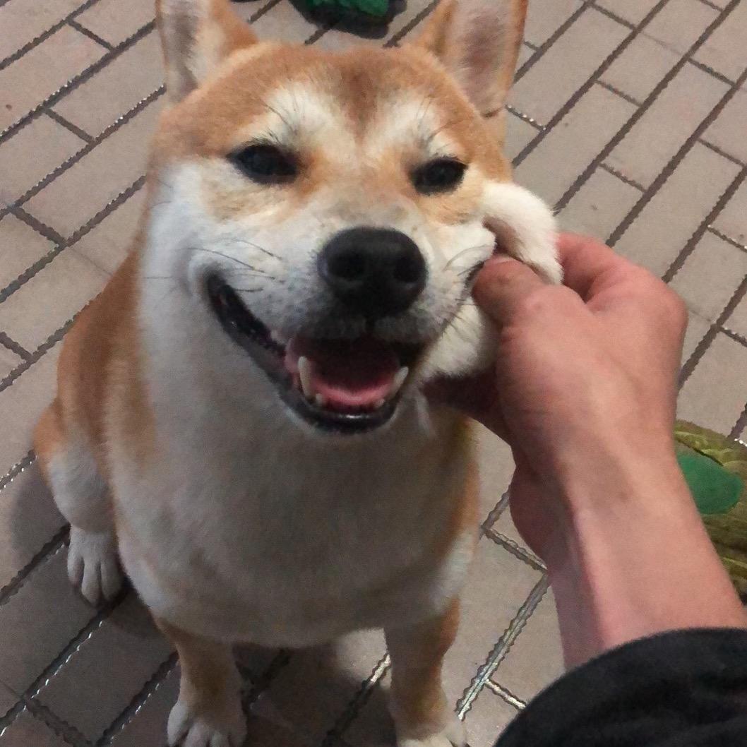歡喜呀