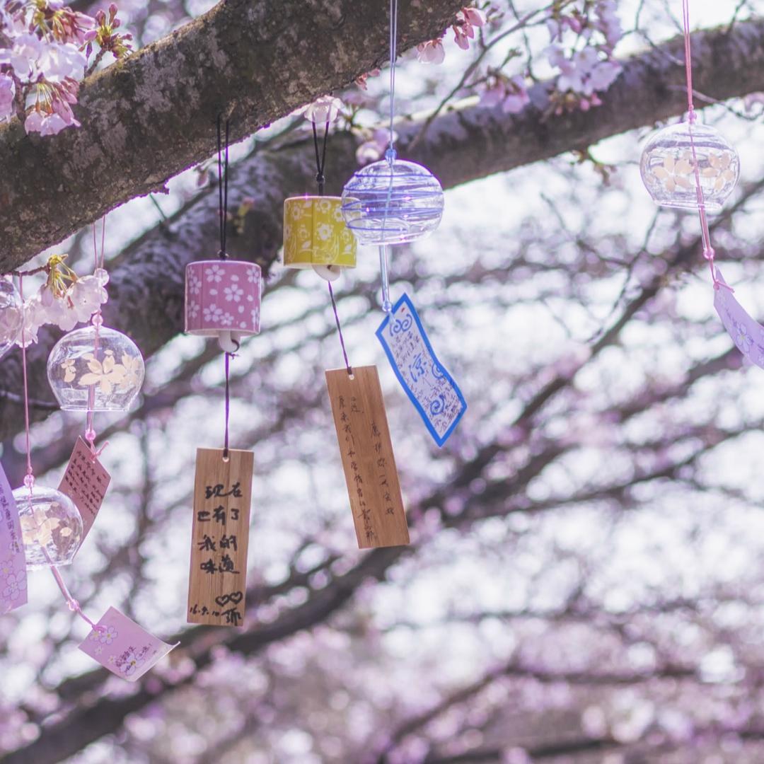 回憶╰祭奠那年癡迷
