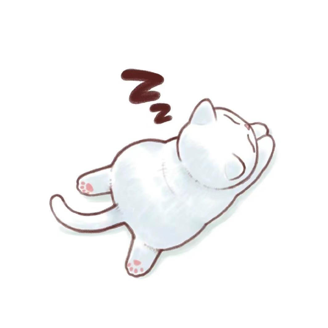 大土豆x
