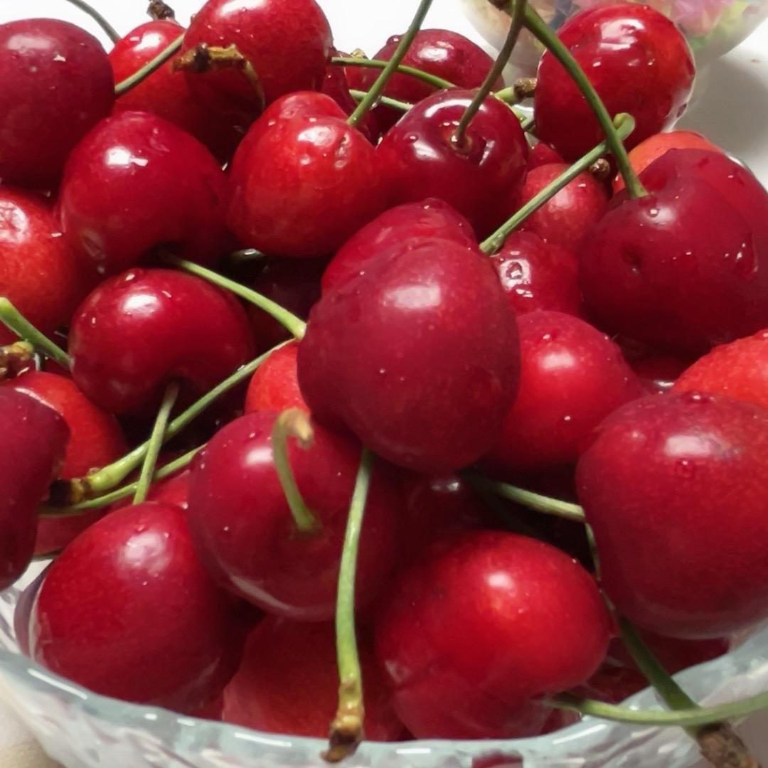 莓有🍓烦恼