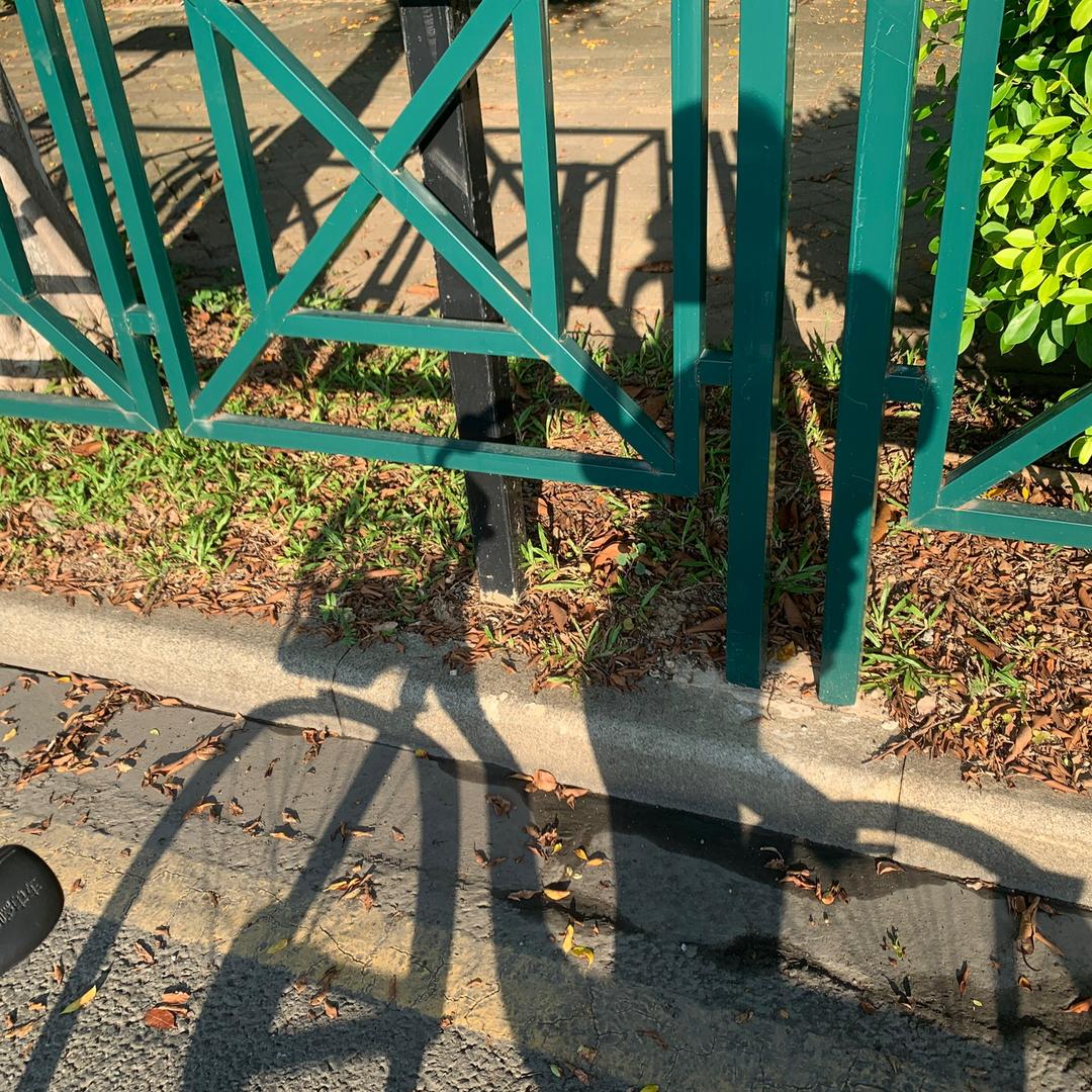 乌鸡瓜瓜瓜