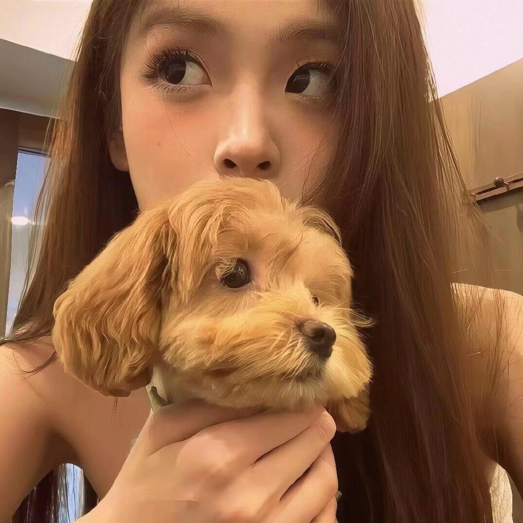 春岛优井