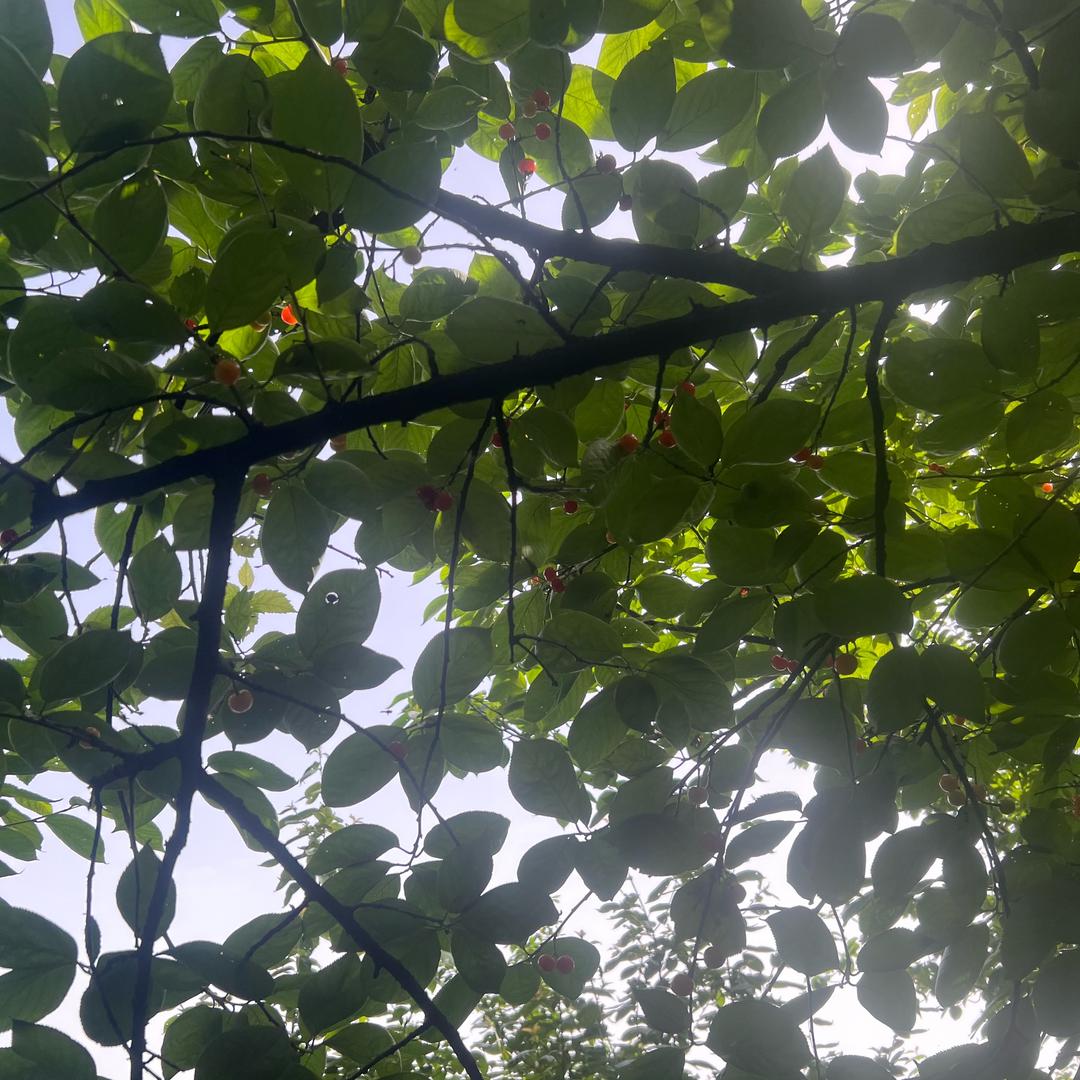 春暖花开《橱窗里有BB霜不卡粉口红不掉色