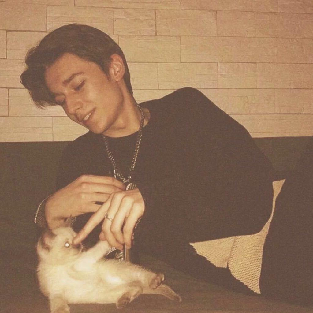 晟森木业 王家琪