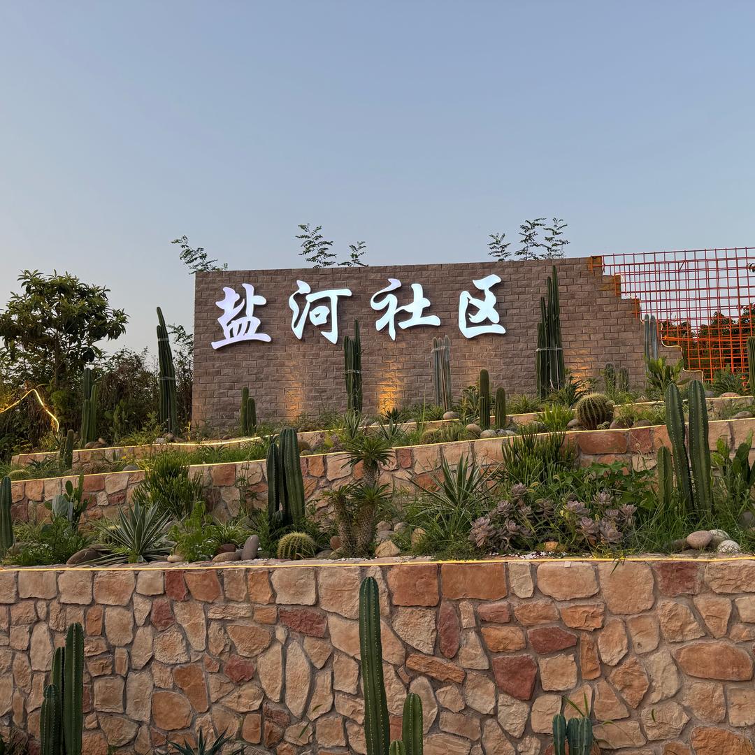 龙水镇盐河社区