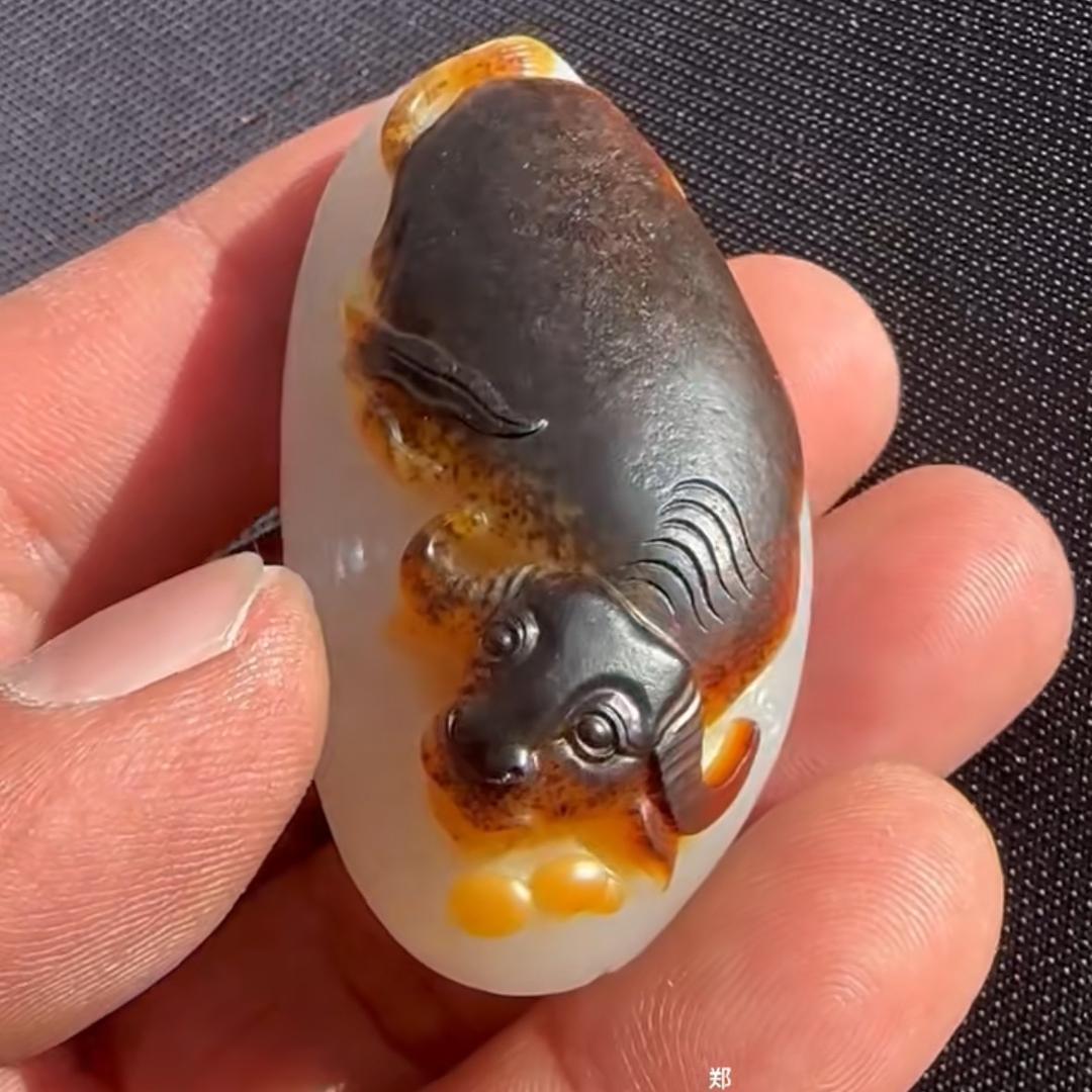 老郑籽玉2