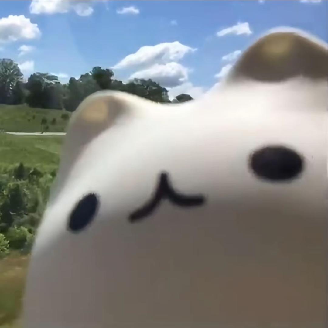 柒柒