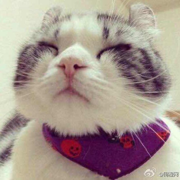吃喝玩乐看依依