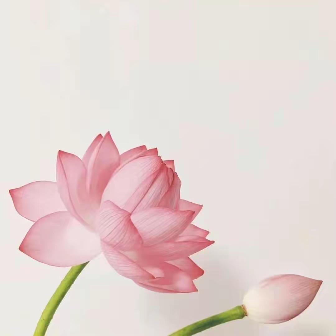 上善若水🪷