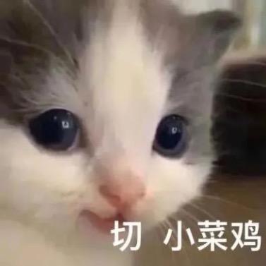 ꧁小草不好吃吖