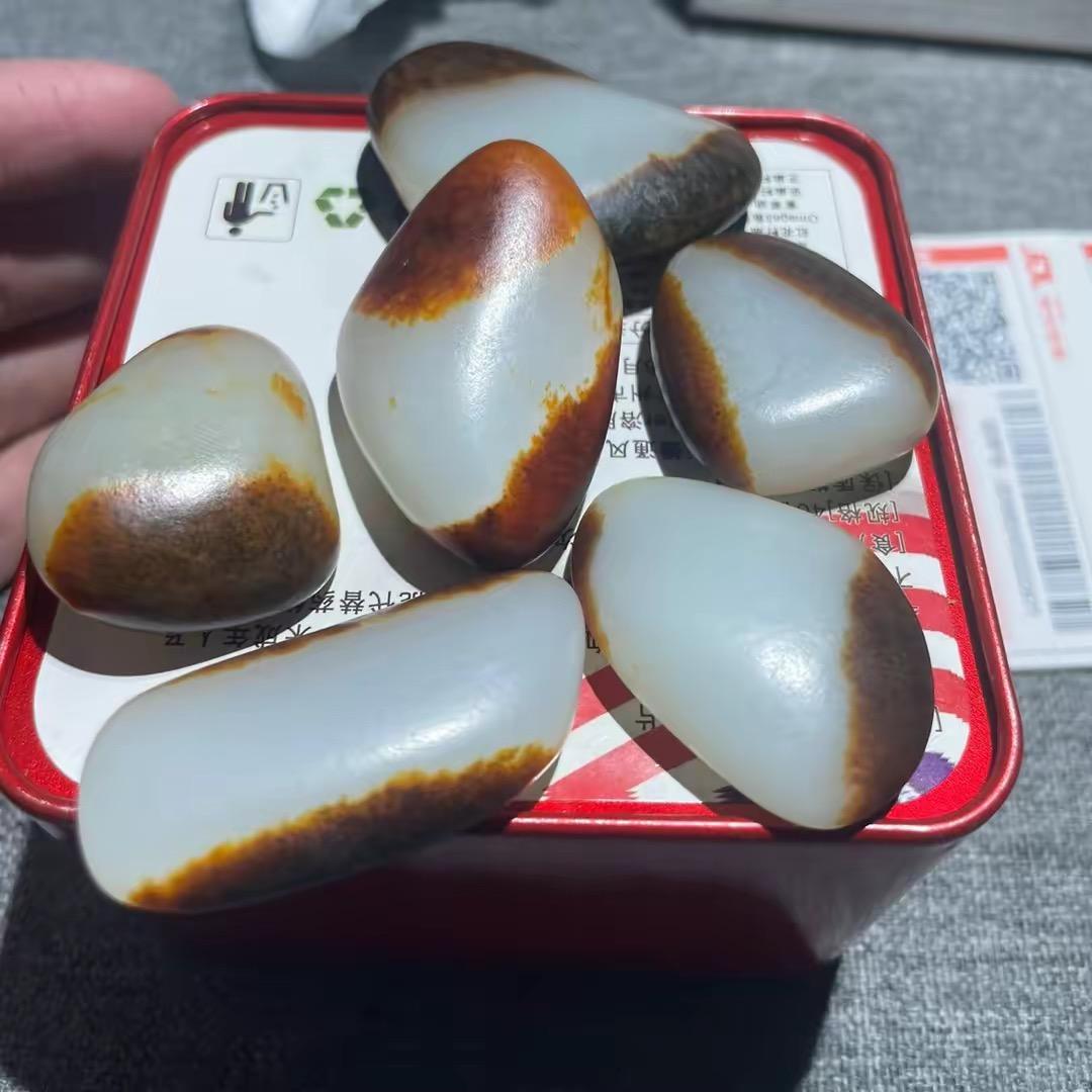 杨阳籽玉3
