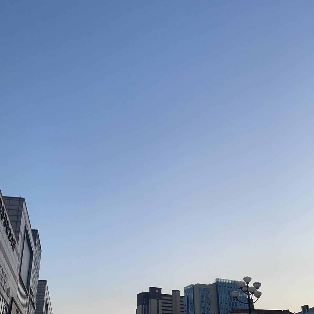 小牛爱吃香香菜