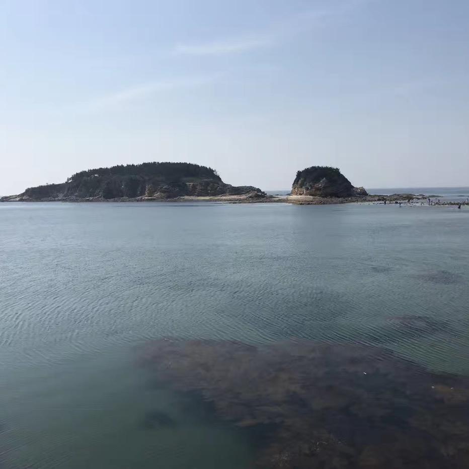 狗某人户外赶海@抖音