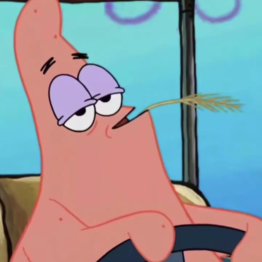 精灵副将马保国