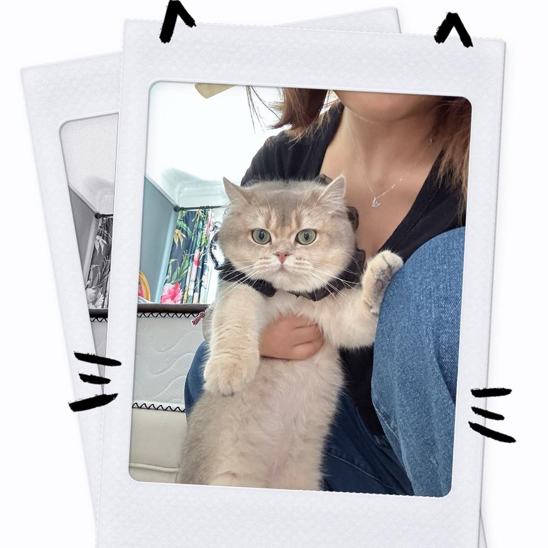 王草莓🍓的妞🐈‍⬛