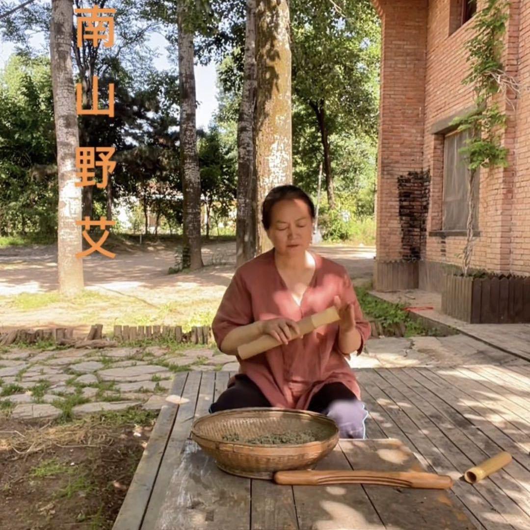 终南山野艾1