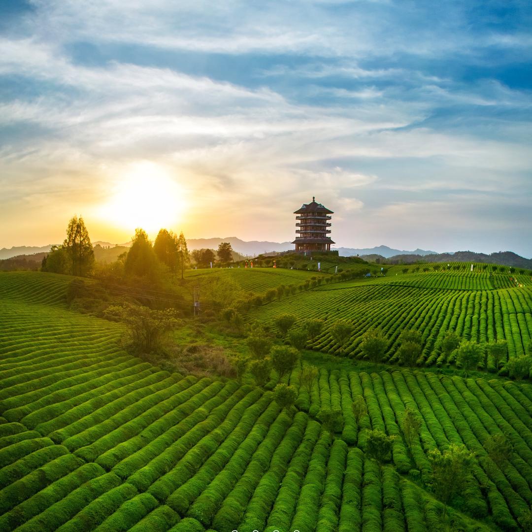 岚山南