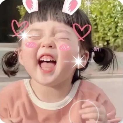 巷子里的猫