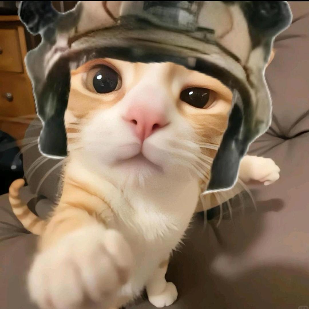 杨咩咩🐏（三角洲行动）