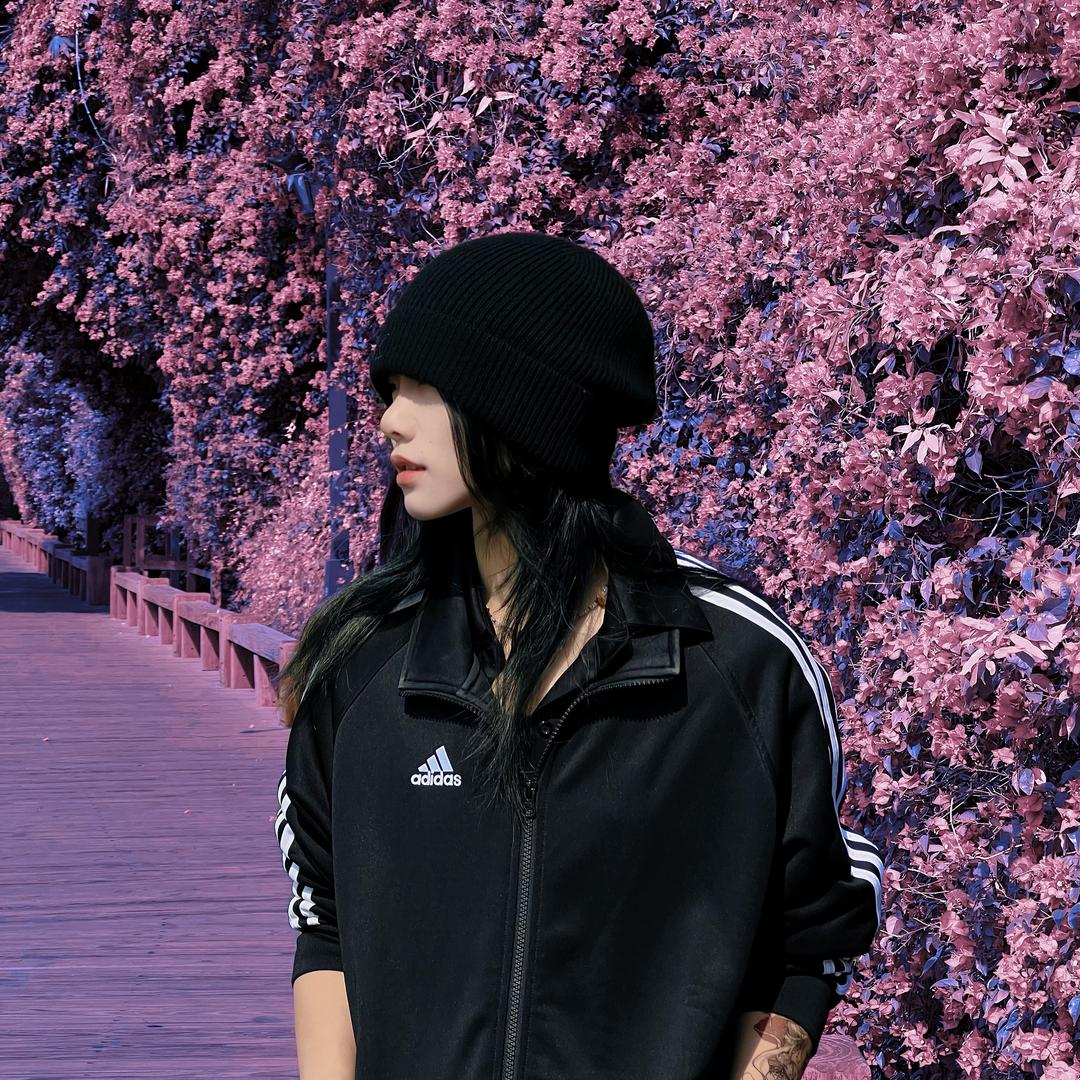 三三倒拔垂杨柳