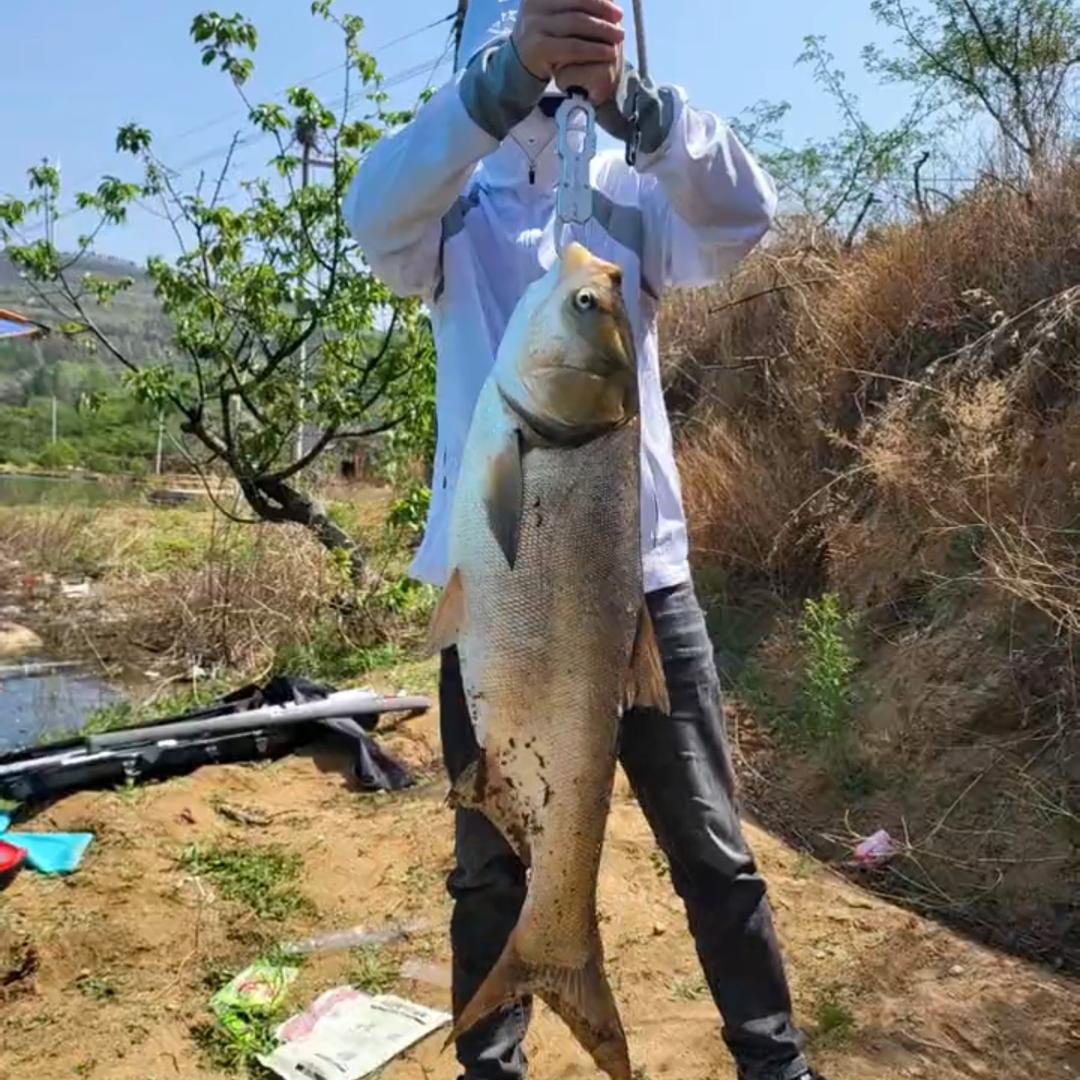 涛涛爱钓鱼