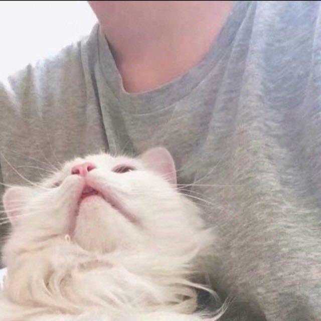 七七