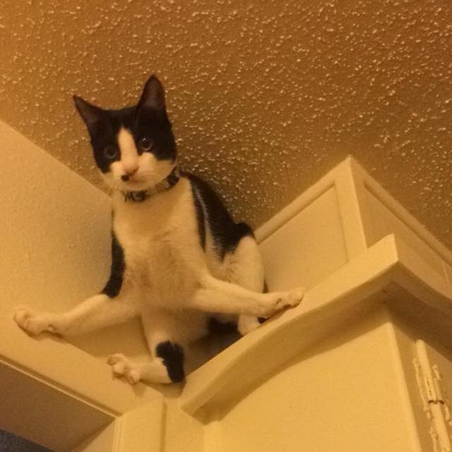 天津生态城子涵妈妈