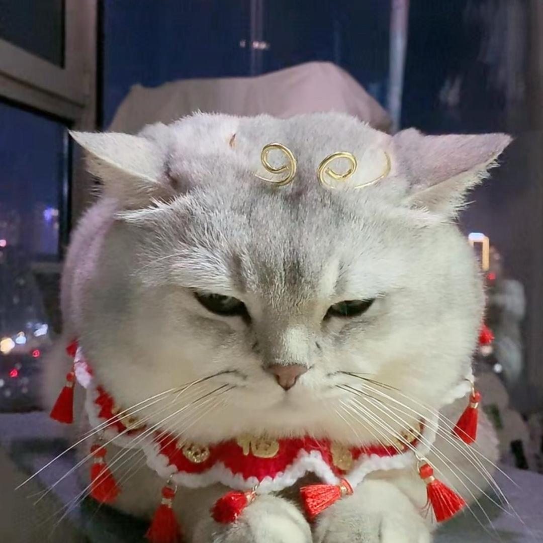 A拉多梦