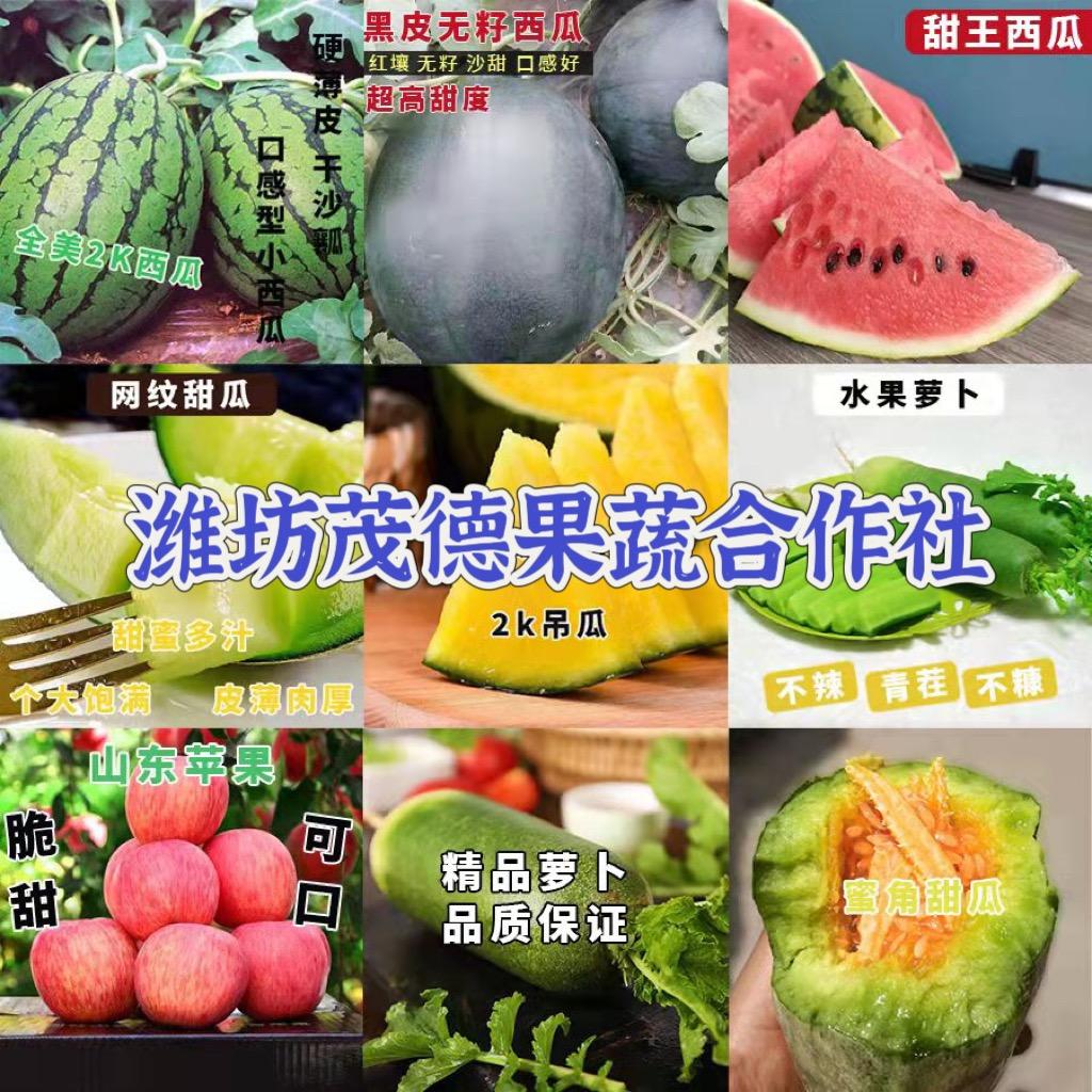 潍坊茂德果蔬合作社