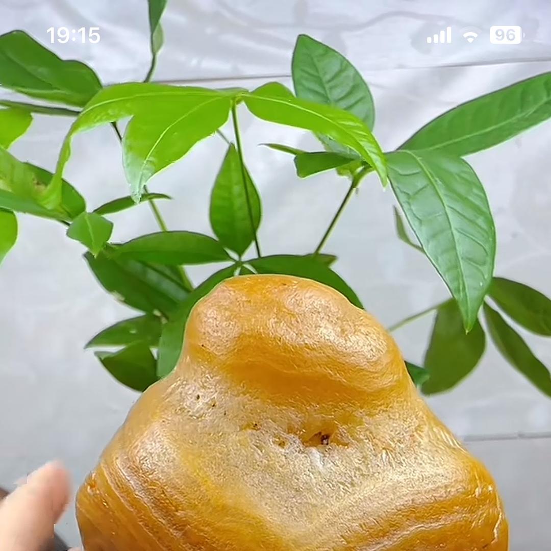 99黄蜡石