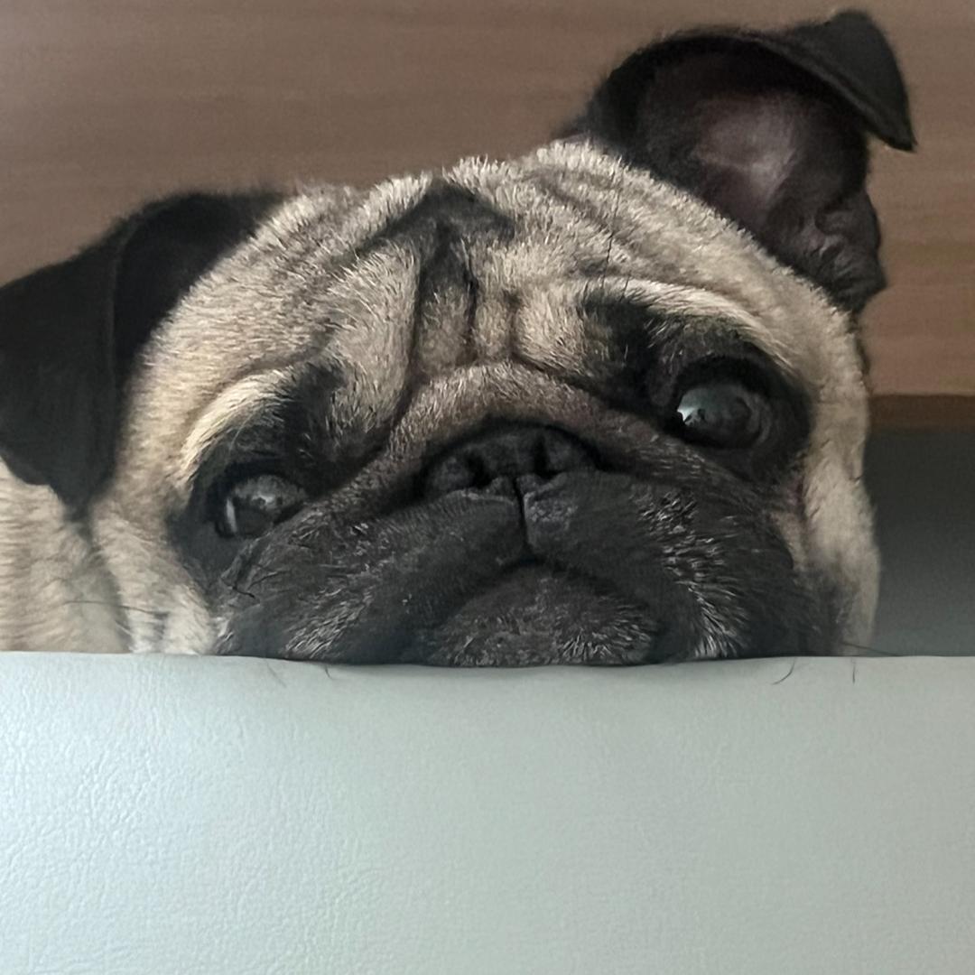 💕