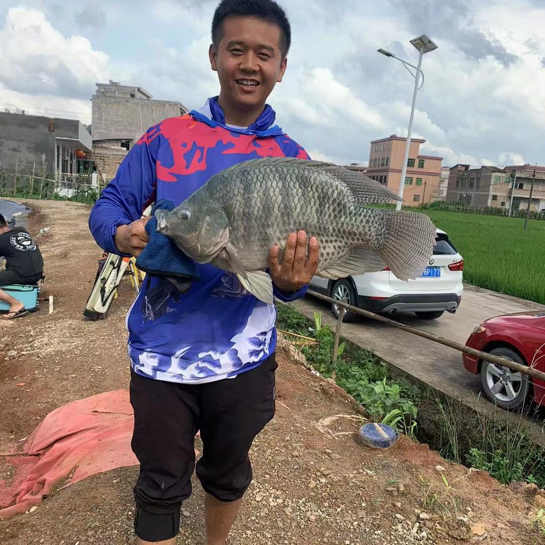 茂林田圆钓场(大罗飞+大黑皖）