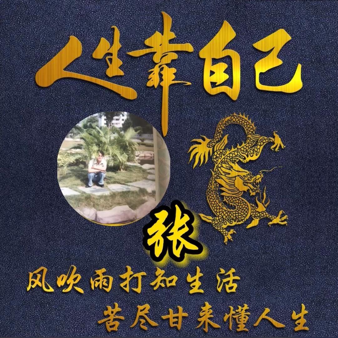 再见了从前