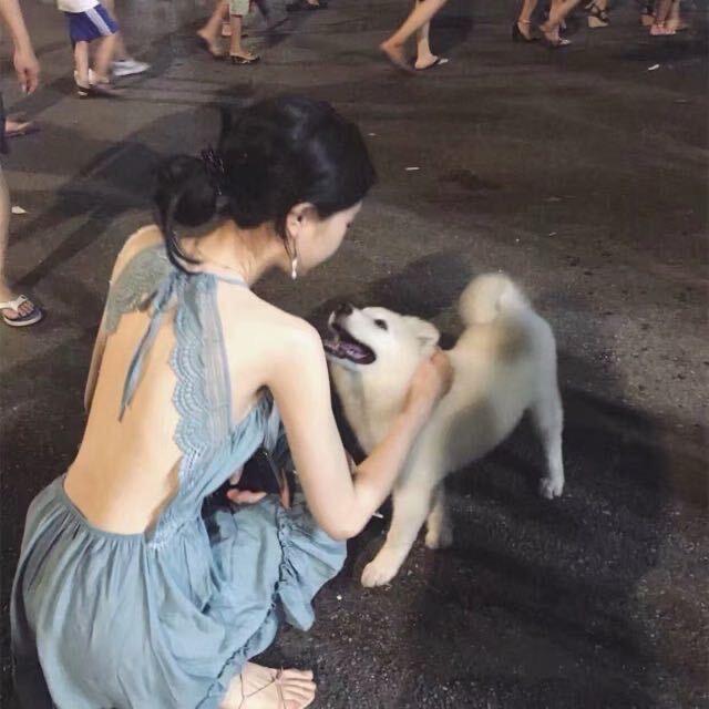 星雨_H r t O