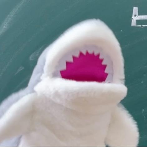 无敌大鲨鱼🦈
