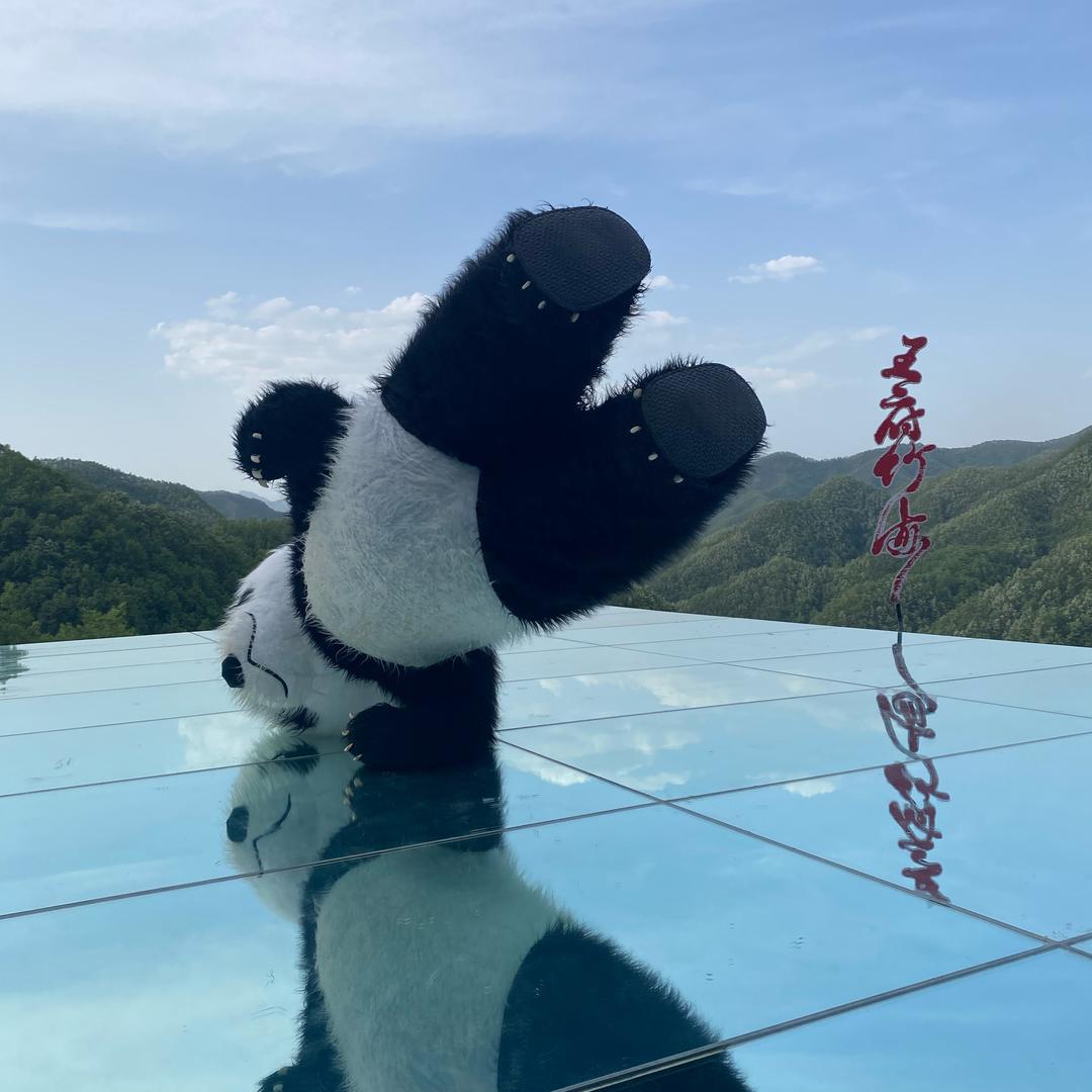 小杨功夫熊猫🐼♡接演出