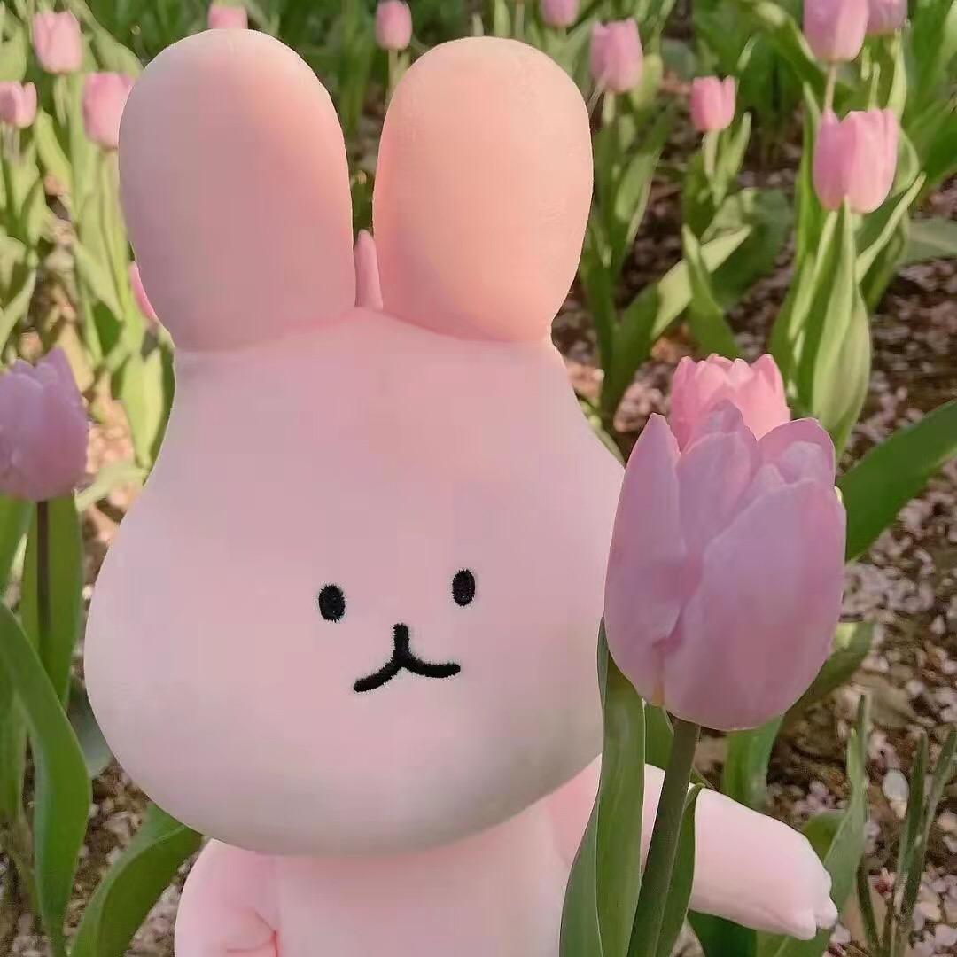 比哩芭哩波