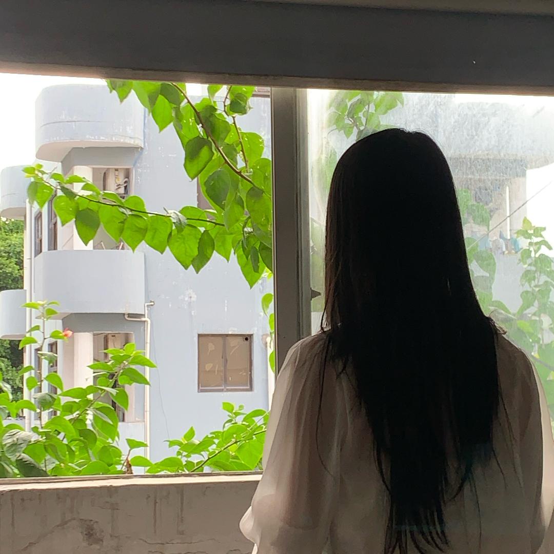 蓝桉.