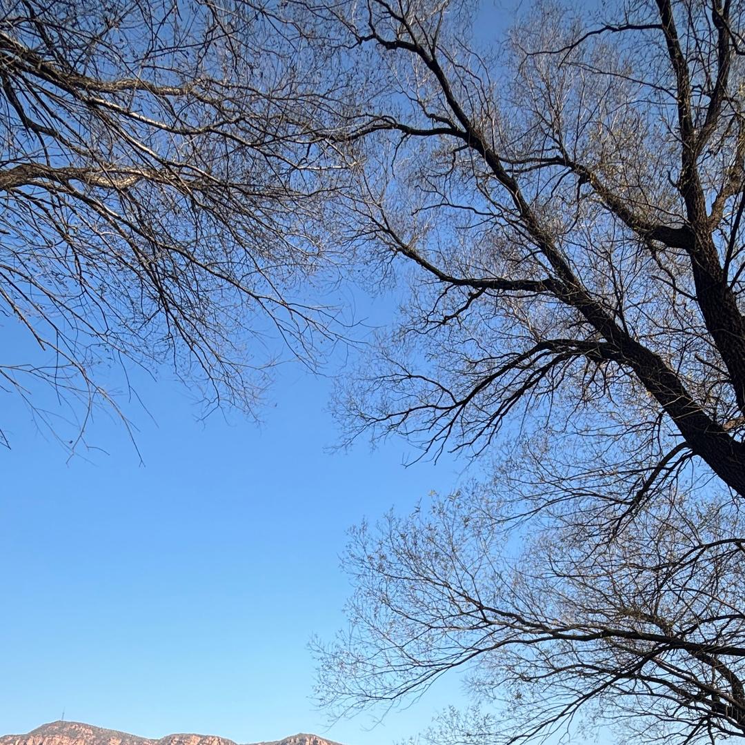 谁的青春不迷茫