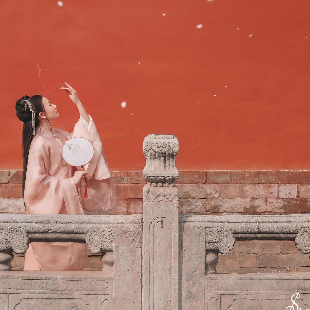 十六的月亮🌙