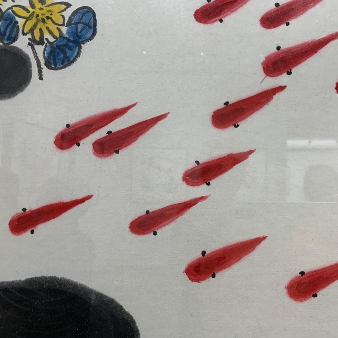 红珑鱼