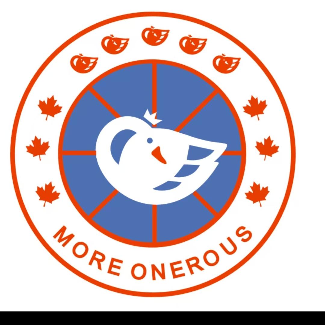 小鹅高端定制羽绒服