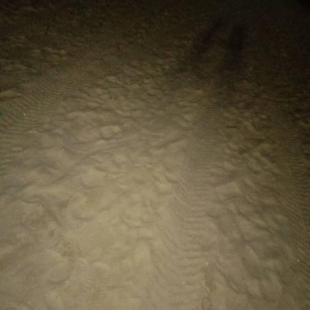 獨家記憶