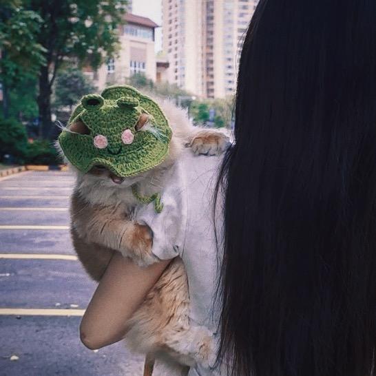 丽丽🦋