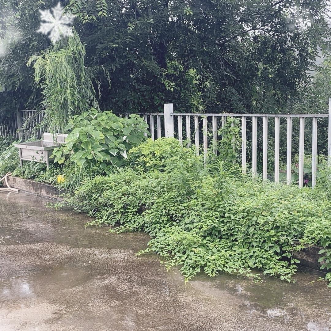 顺风顺水1