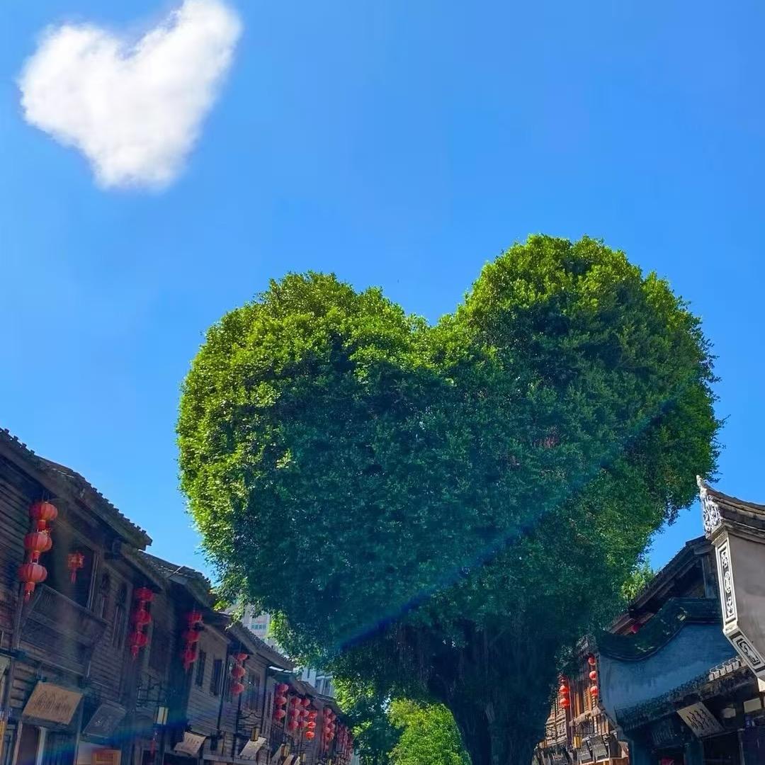 江西三哥