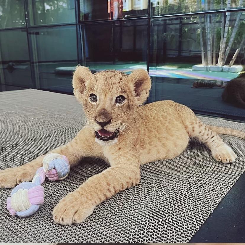 𝙀𝙙𝙬𝙖𝙙.