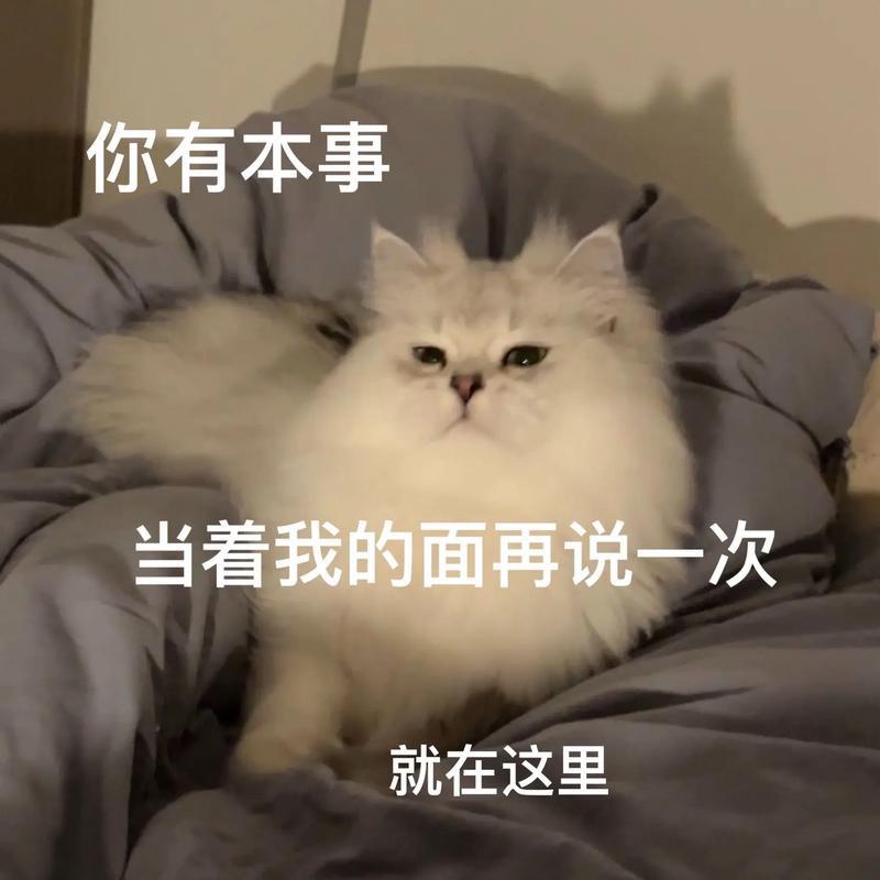 往你心上猛插一🔪